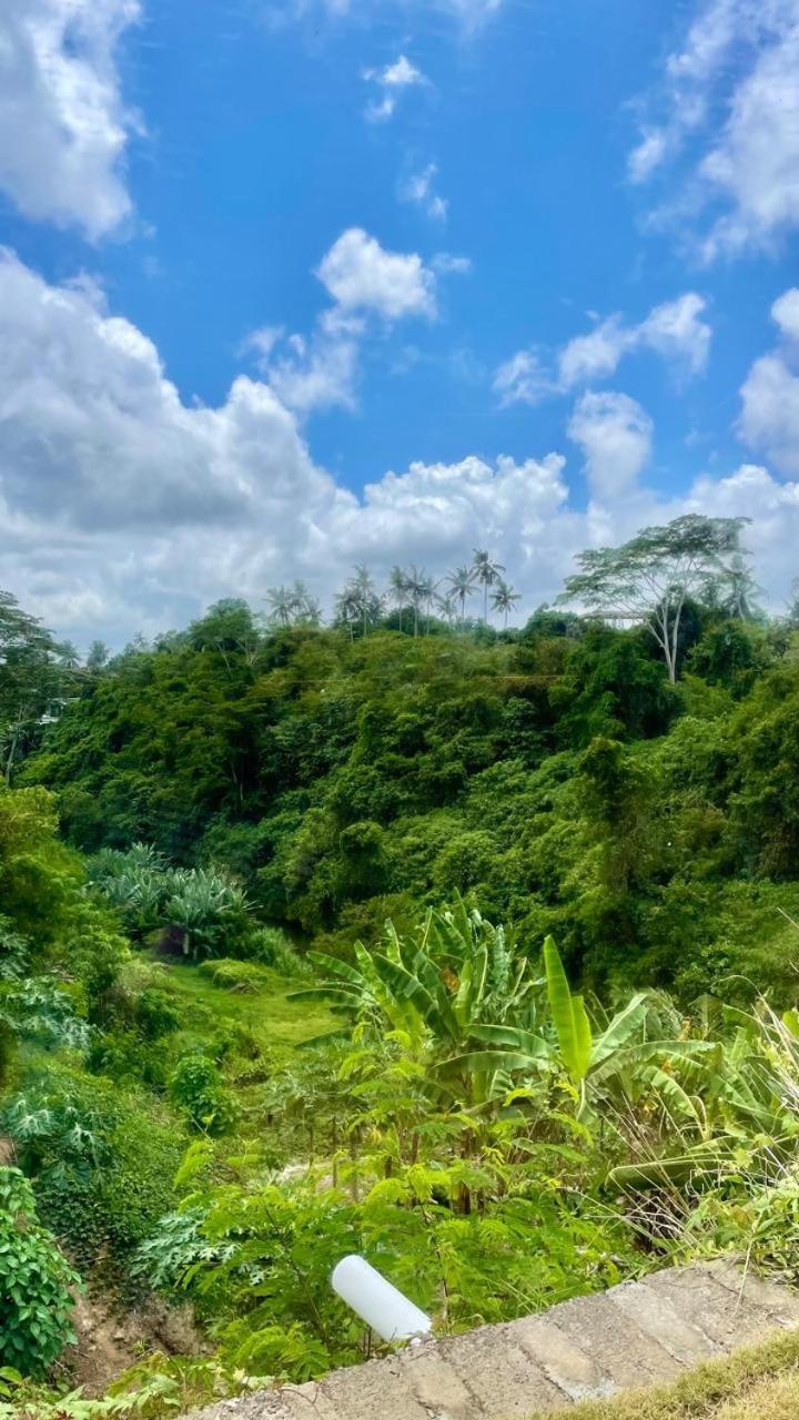 Solana Wellness Retreat Hotel Ubud Eksteriør billede